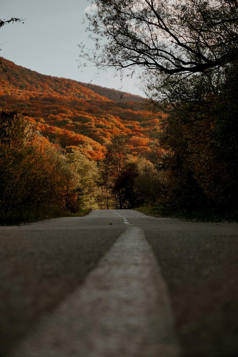 Autumn Mountain Colors